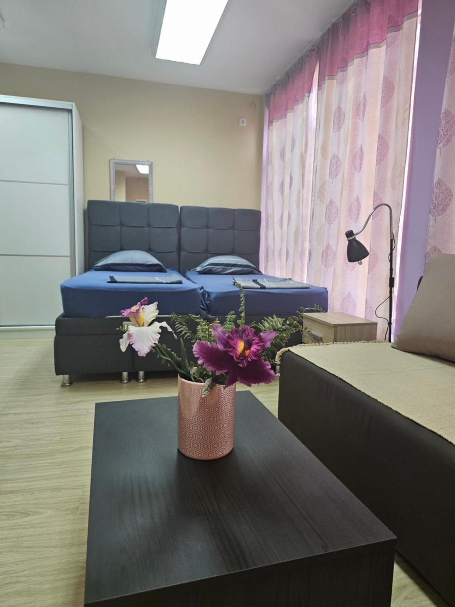 Apartman Leni2 U Centru Zajecara Exteriér fotografie